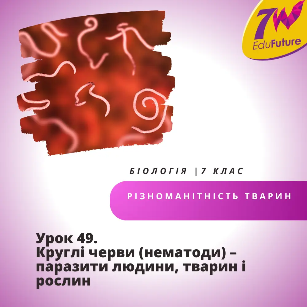 Круглі черви (нематоди) – паразити людини, тварин і рослин
