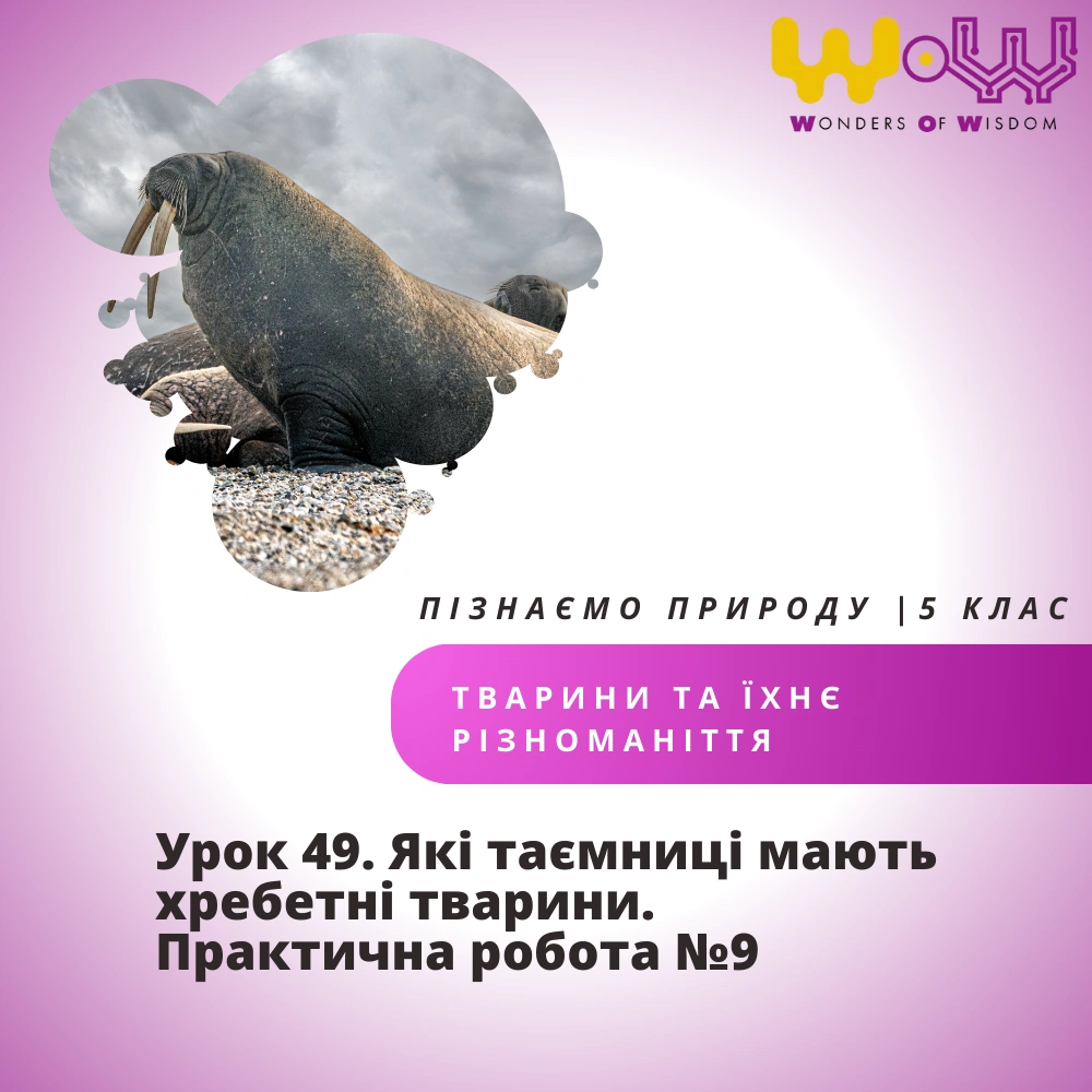 Які таємниці мають хребетні тварини. Практична робота №9