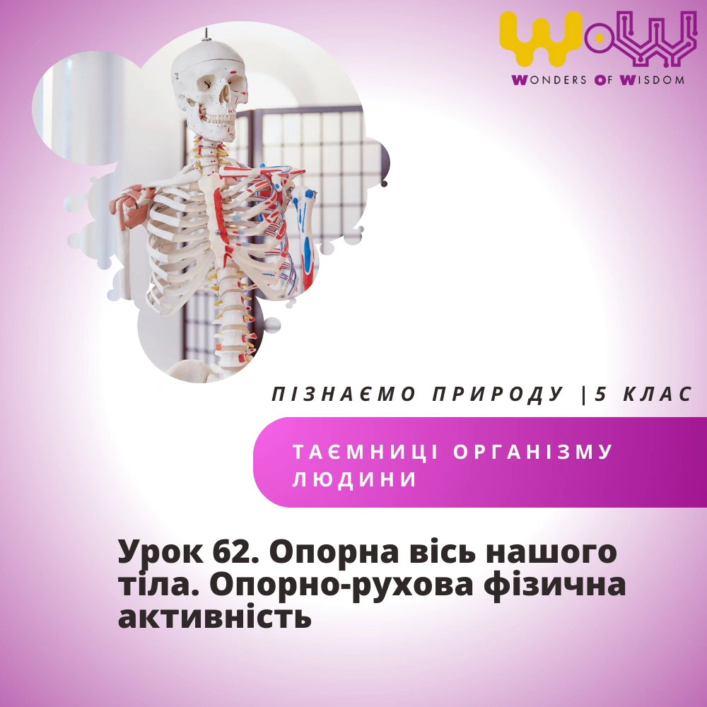 Опорна вісь нашого тіла. Опорно-рухова фізична активність